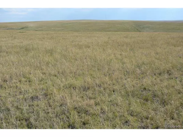 Deer Trail, CO 80105,2215 CR 269