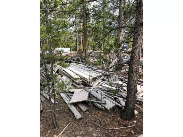 Leadville, CO 80461,29 Fir Dr