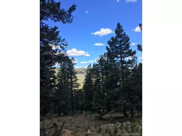 509 Middle Fork Vis, Fairplay, CO 80440