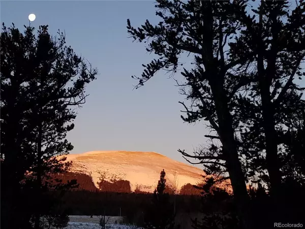 Fairplay, CO 80440,416 Foxtail Dr