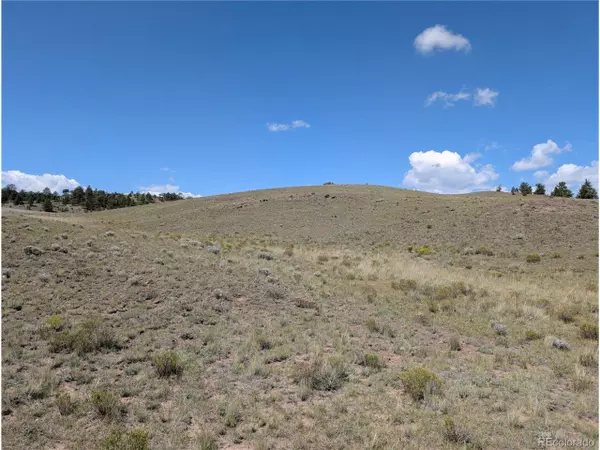 Hartsel, CO 80449,0 Cherokee Trl