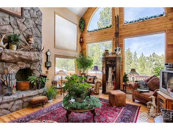 Nederland, CO 80466,51 Bonanza Dr