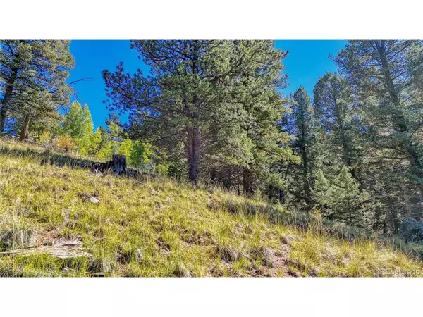 Cripple Creek, CO 80813,1058 Bennett Dr