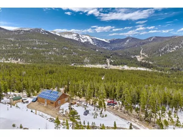 Idaho Springs, CO 80452,1353 Alice Rd