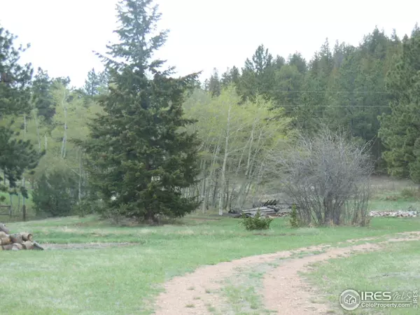 Livermore, CO 80536,1689 Green Mountain Dr
