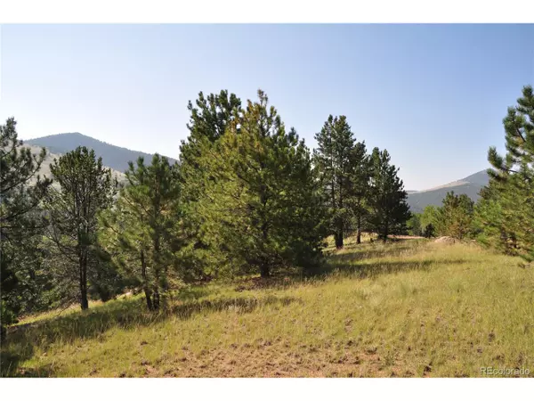 56 Red Cloud Cir, Cripple Creek, CO 80813