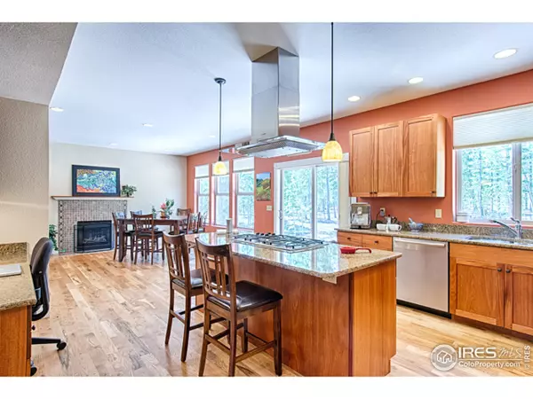 Nederland, CO 80466,35 Arikaree Cir