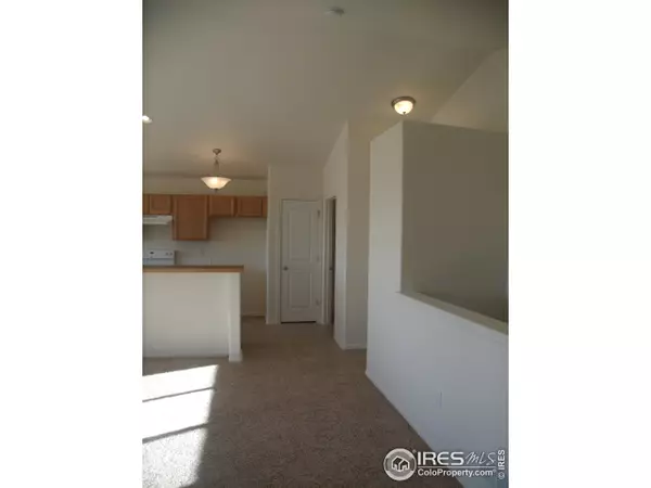 Wellington, CO 80549,7324 Andover St