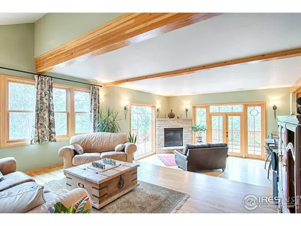 Nederland, CO 80466,256 Bonanza Dr