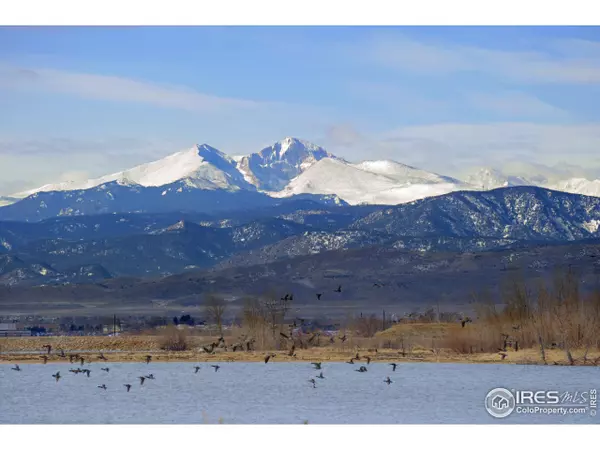 3123 Majestic View Dr, Timnath, CO 80547