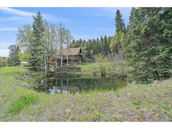 80 Castlewood Ct, Evergreen, CO 80439