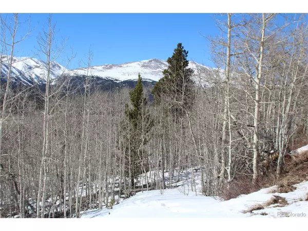 Alma, CO 80420,Platte River Dr