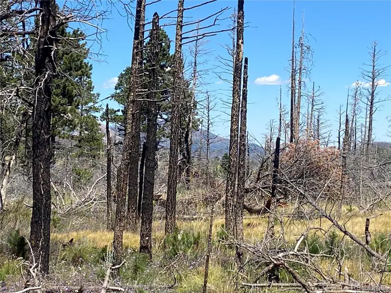 2169 Hayden Ln, Fort Garland, CO 81133