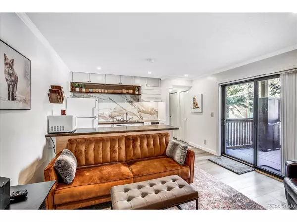 306 Illinois Gulch Rd #113, Breckenridge, CO 80424