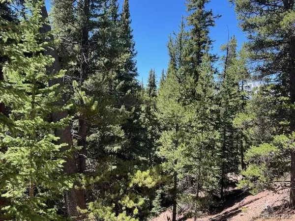 Breckenridge, CO 80424,277 Goldenview Dr