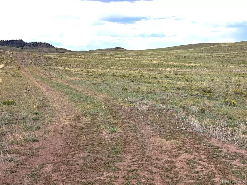 217 Black Gatto Trl, Hartsel, CO 80449