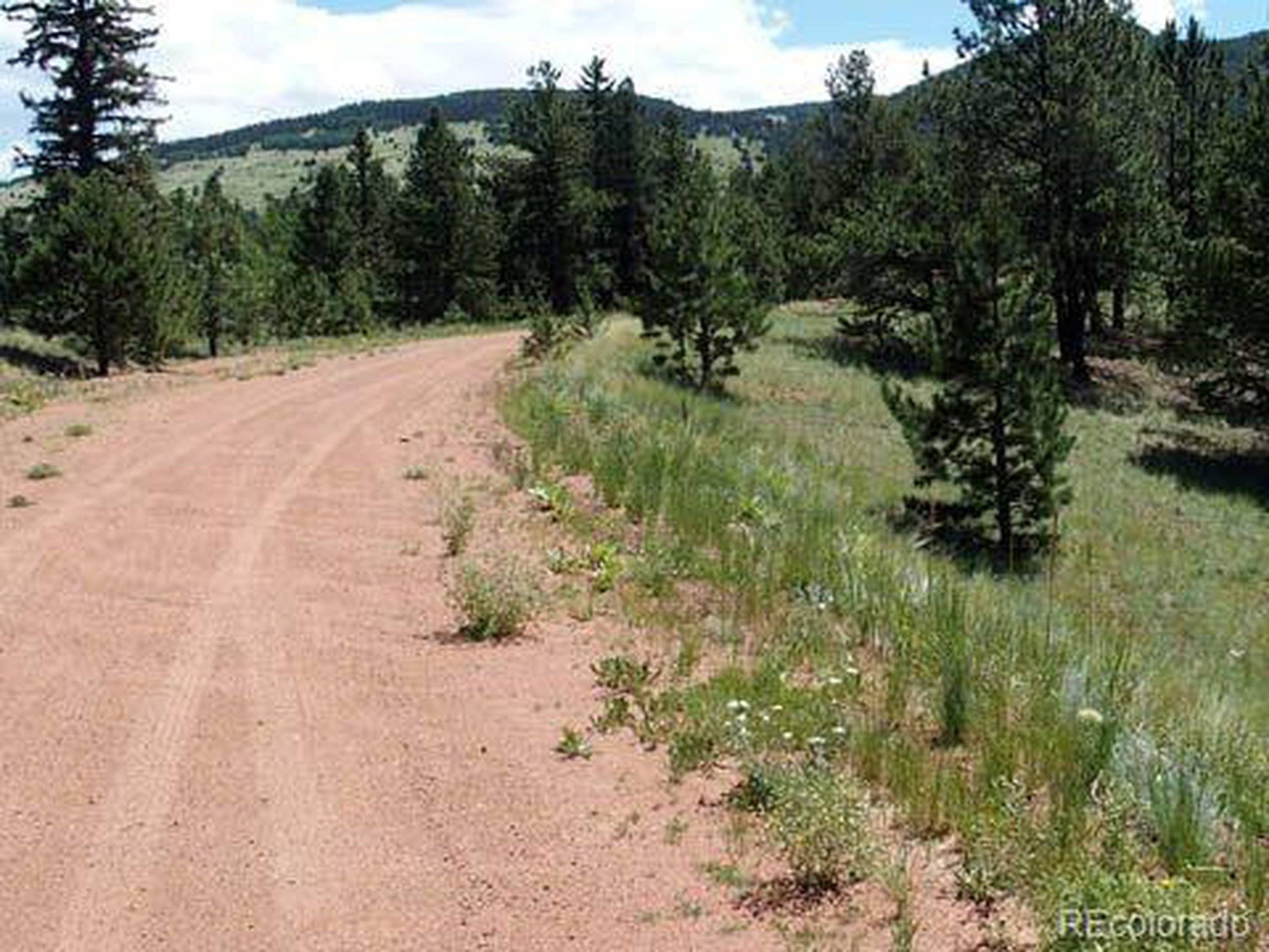 Cripple Creek, CO 80813,172 Cortez Pl