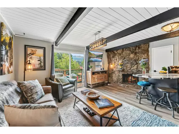 Breckenridge, CO 80424,505 S Ridge St #302