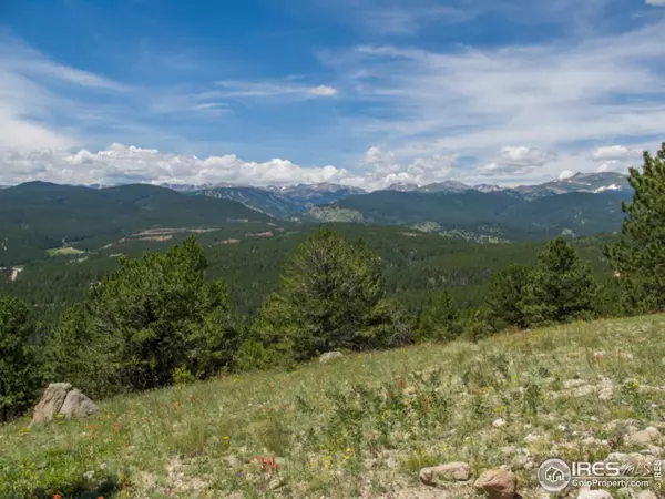 Nederland, CO 80466,0 COAL CREEK CANYON Dr