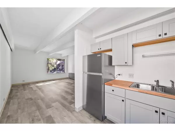 Denver, CO 80203,555 E 10th Ave #114