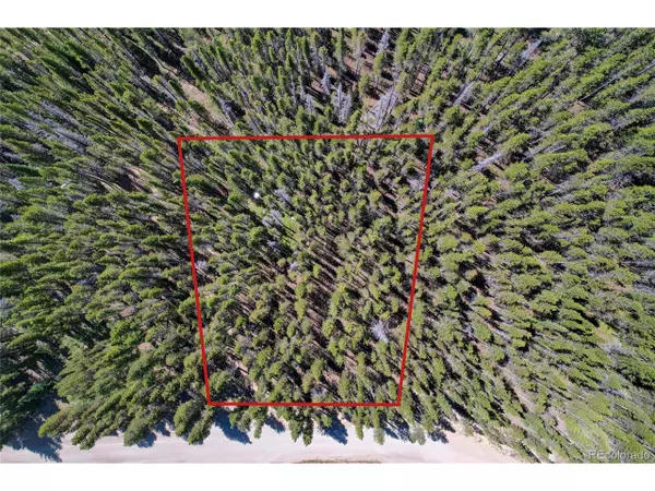 Idaho Springs, CO 80452,172 Lower Forest Rd