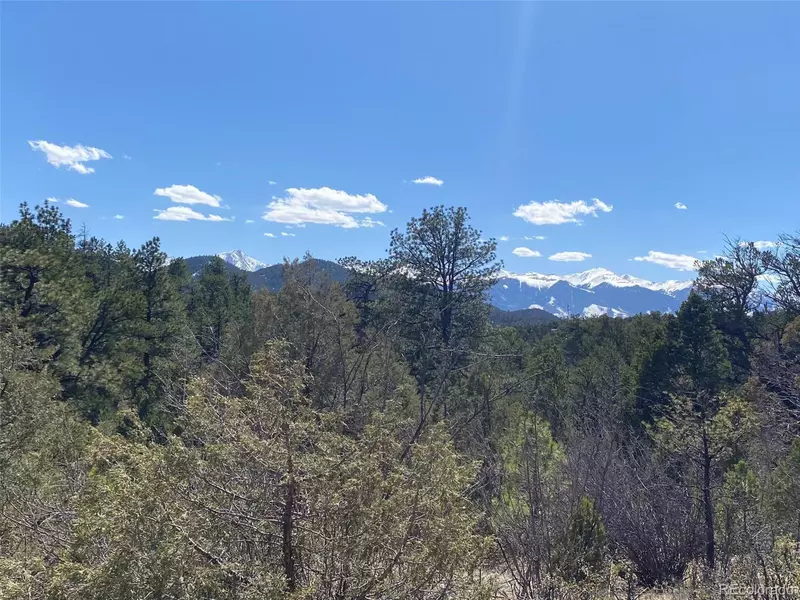 104 F Path, Cotopaxi, CO 81223