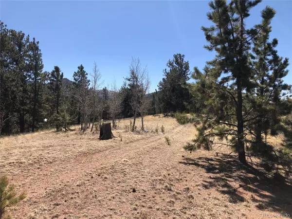 Cripple Creek, CO 80813,589 Portland Dr