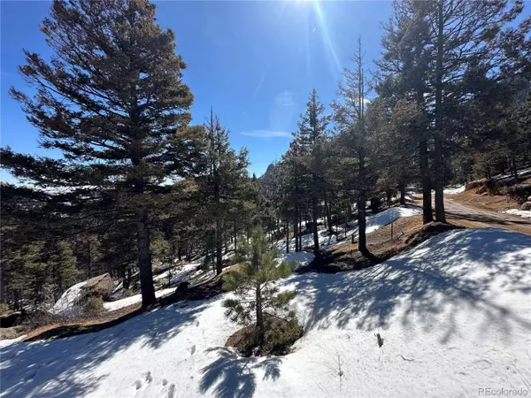 Manitou Springs, CO 80829,91 Ponderosa