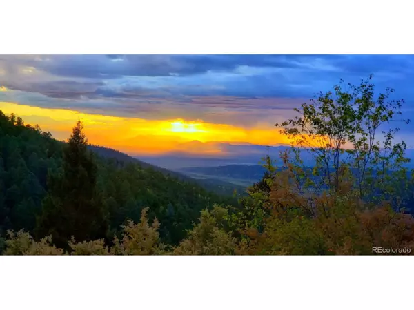 Fort Garland, CO 81133,0 Heckman Rd
