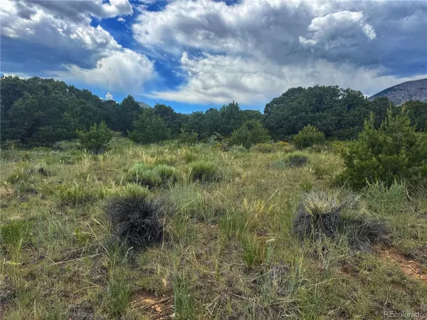 Walsenburg, CO 81089,106 Colorado Land & Grazing
