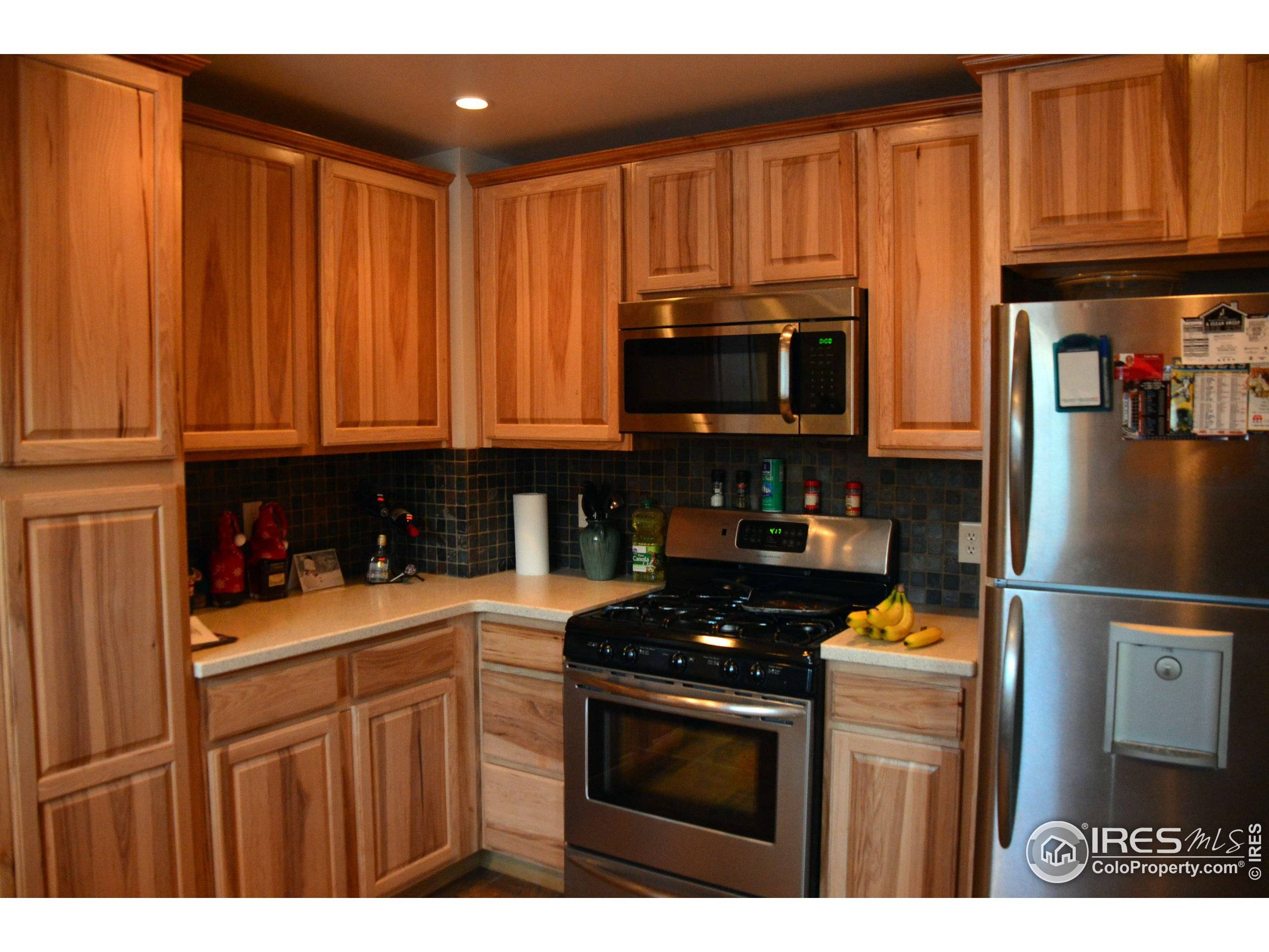 Fort Collins, CO 80524,416 Locust St