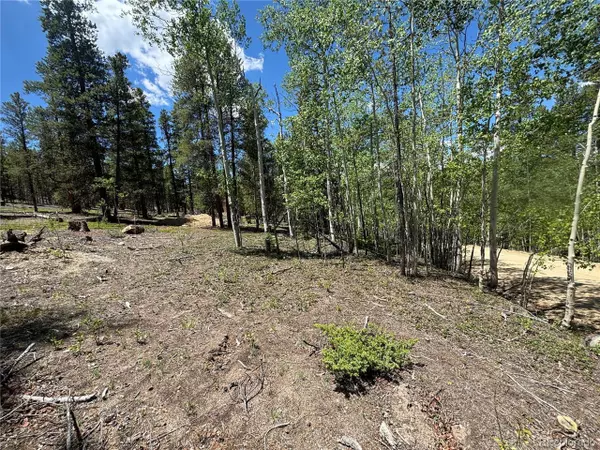 Twin Lakes, CO 81251,738 Lodgepole Dr