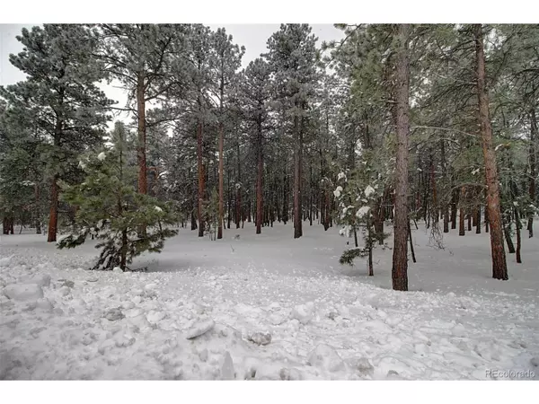 Monument, CO 80132,1455 Trumpeters Ct