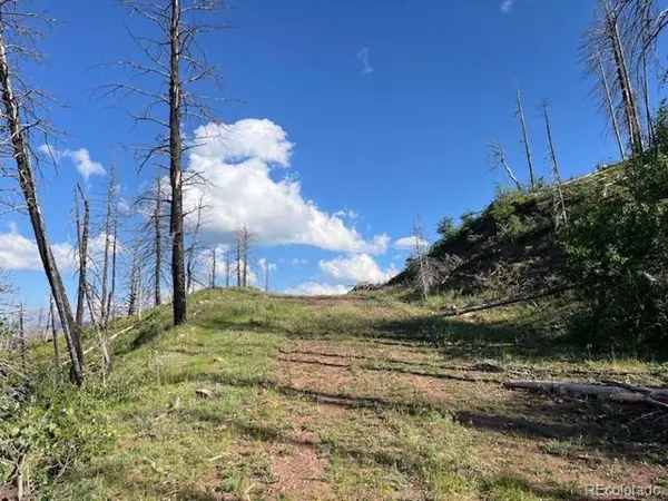 Fort Garland, CO 81133,835 Slaoui Pl