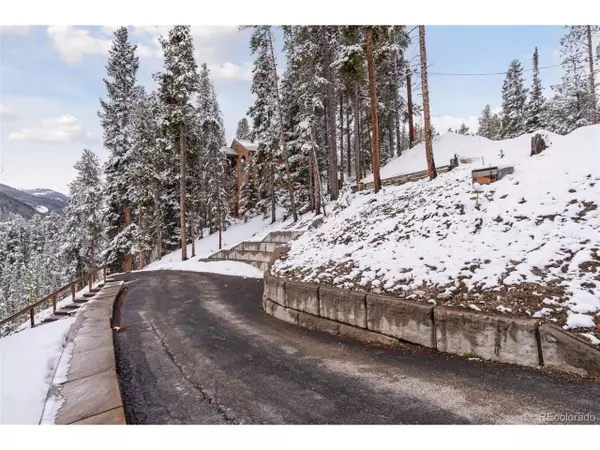 Breckenridge, CO 80424,293 Crown Dr