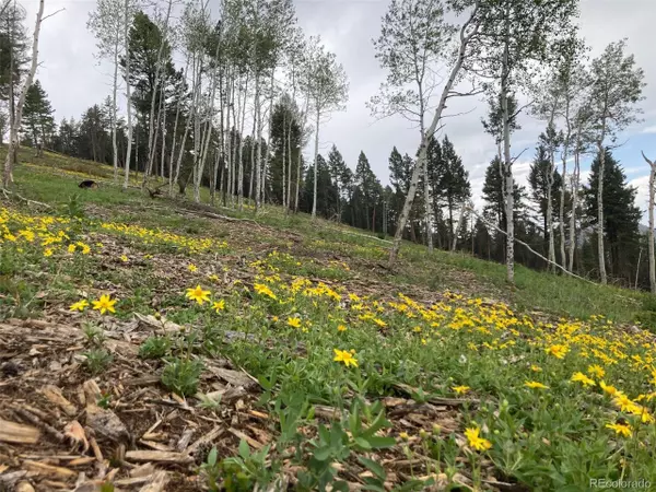 Littleton, CO 80127,0 Gooseberry Ln