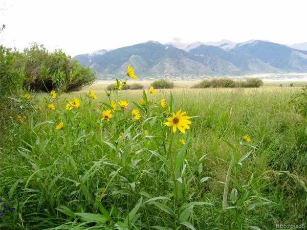 Villa Grove, CO 81155,0 TBD