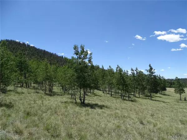 Como, CO 80432,782 Bowstring Rd