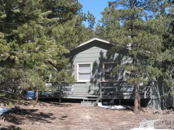 601 Bramer Rd, Ward, CO 80481