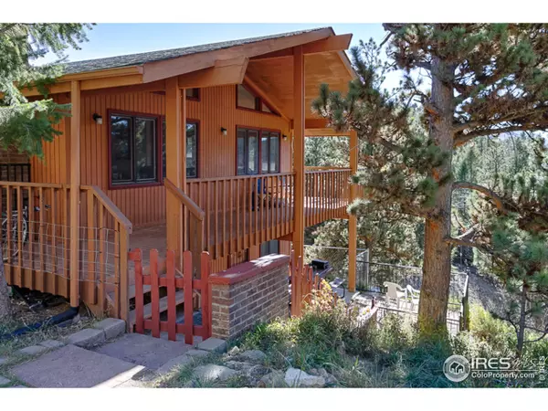 118 Blue Spruce Rd S, Nederland, CO 80466