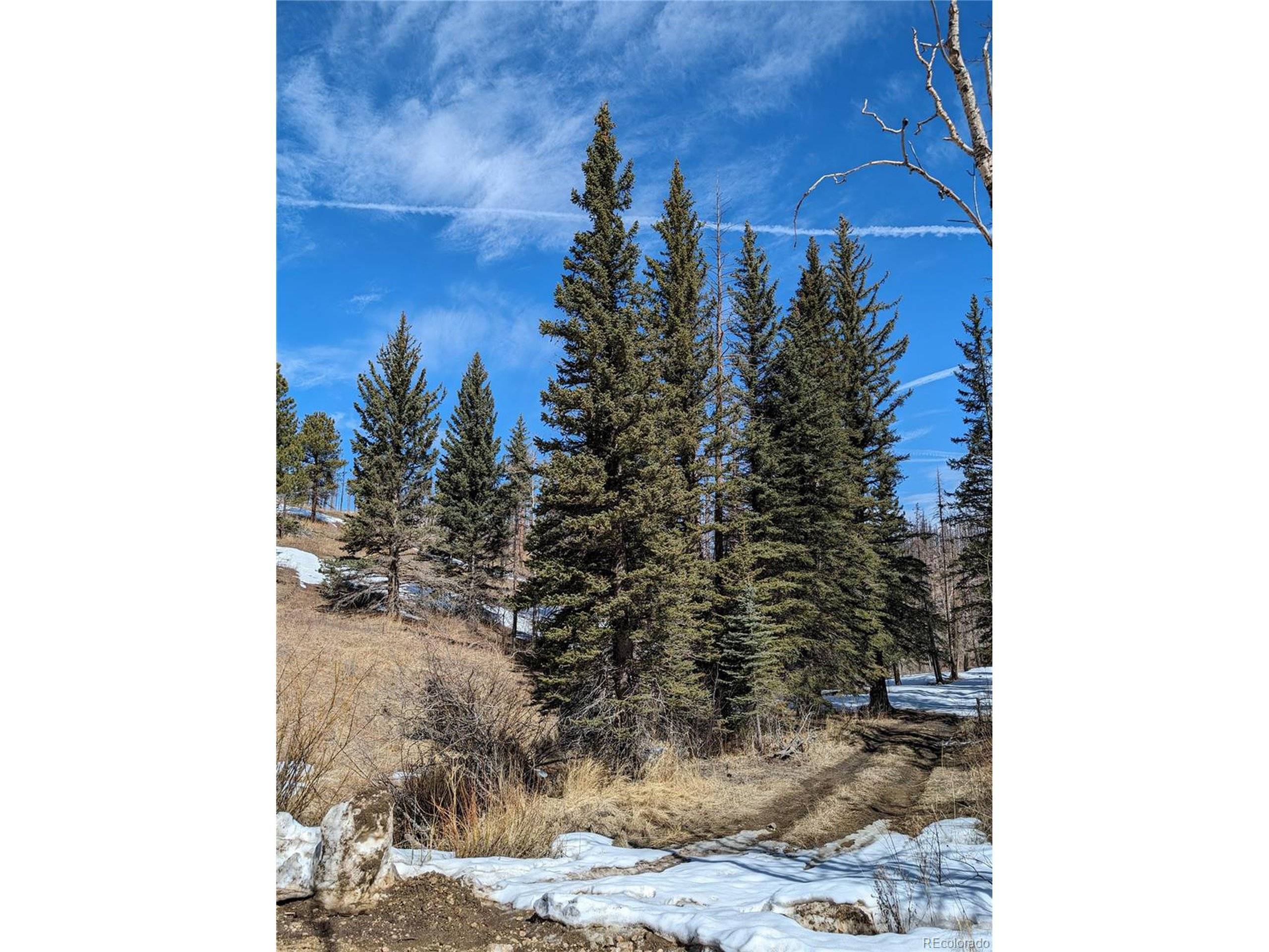 60 Powder Horn Trl, Bellvue, CO 80512