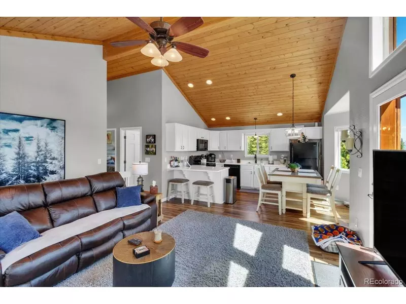 227 Valley Of The Sun Dr, Fairplay, CO 80440