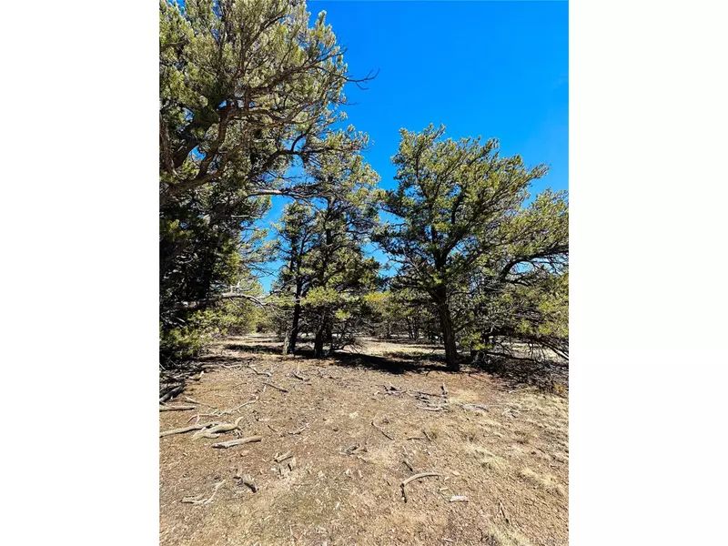 TBD, Cotopaxi, CO 81223