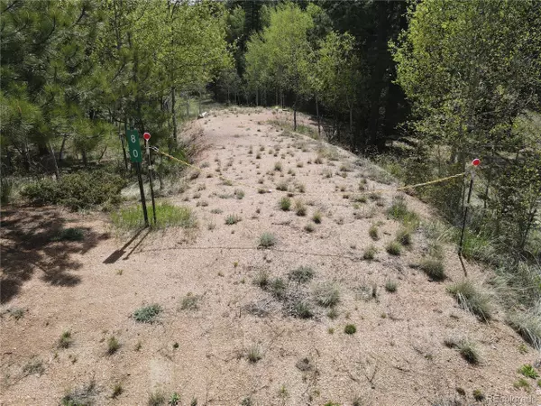 Divide, CO 80814,79 Trout Creek Cir