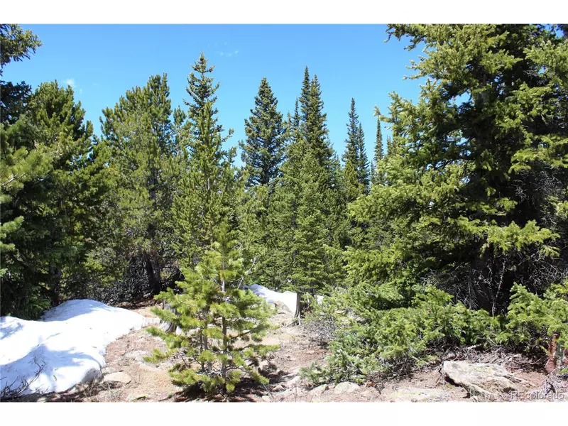 6 Lamartine Rd, Idaho Springs, CO 80452