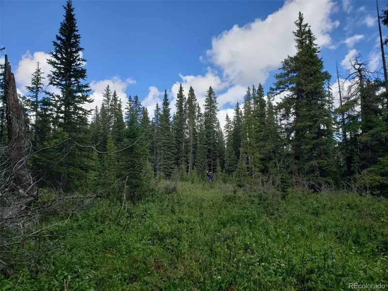 586 El Lobo Ln, Fairplay, CO 80440