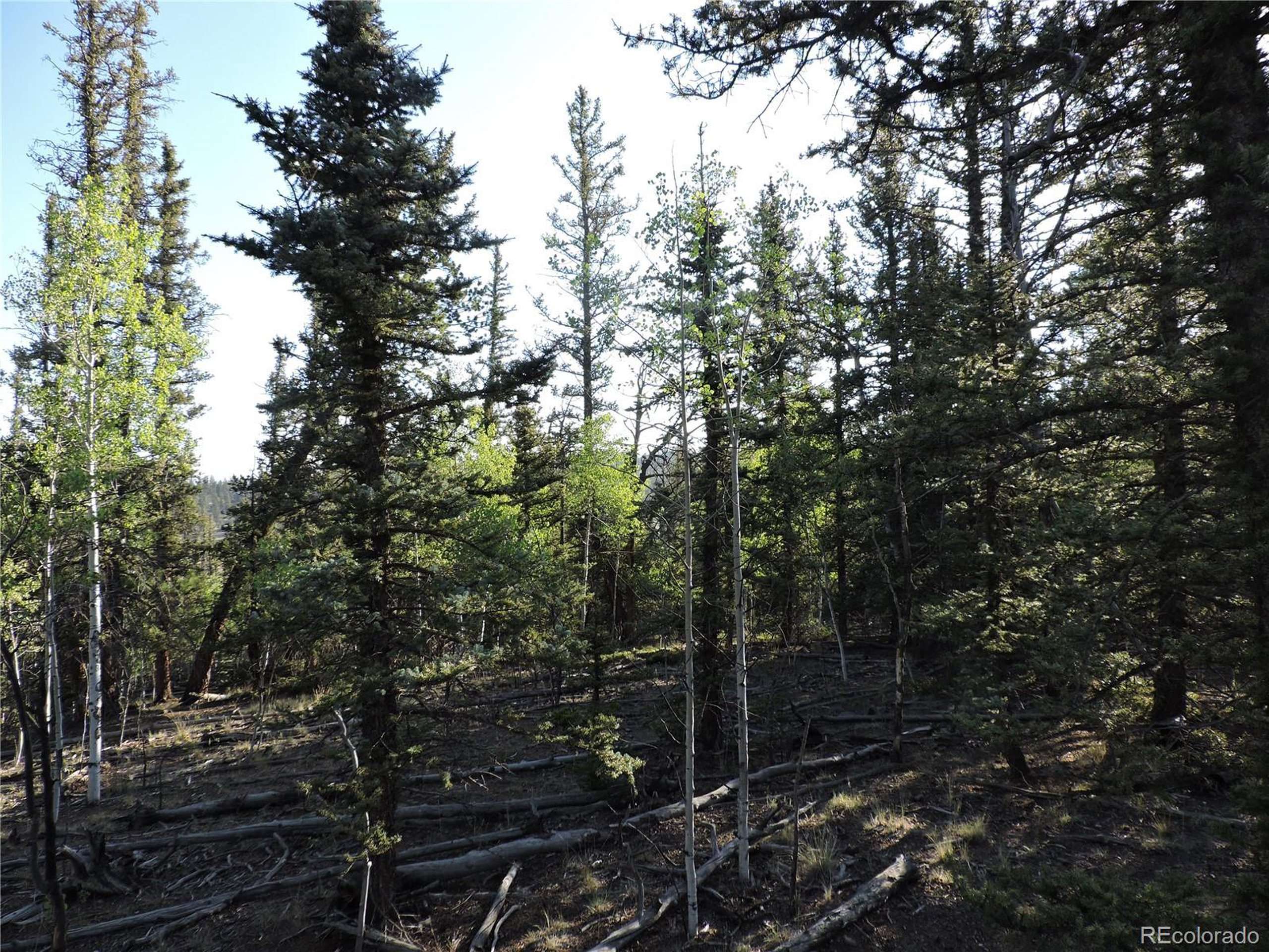 Como, CO 80432,170 Buckskin Ct