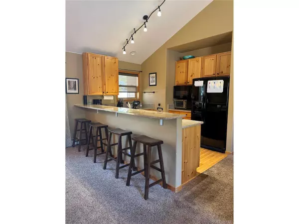 Dillon, CO 80435,100 Norse Ln #22