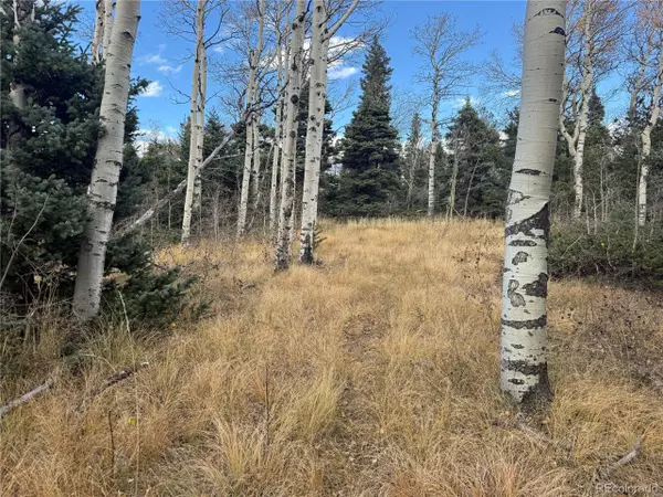 Fort Garland, CO 81133,2662 Petito Dr