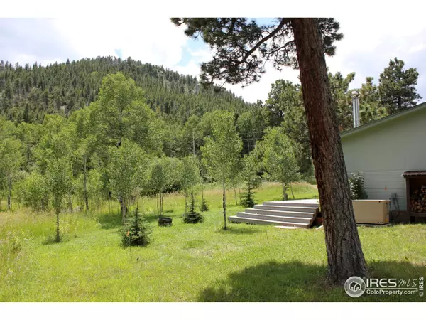 Nederland, CO 80466,91 Forsythe Trl